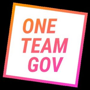 OneTeamGov logo